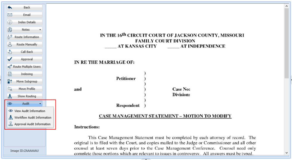 Audit Information when Viewing in Workbasket