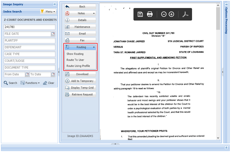 Image Inquiry Post-Routing Options