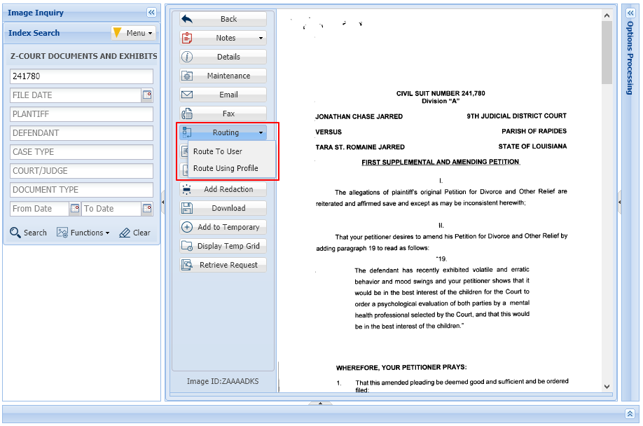 Image Inquiry Routing Options