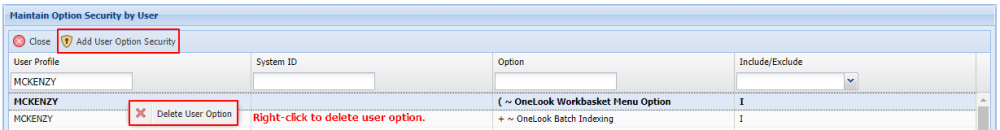 Maintain Option Security By User