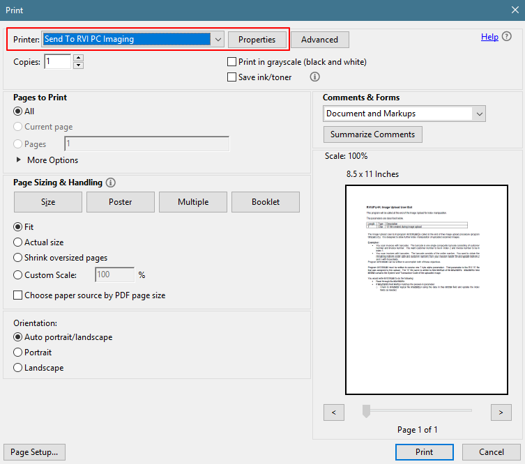 Print To RVI Printer