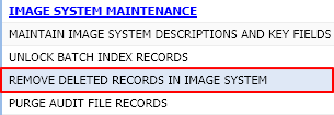 Remove Deleted Records In Image System