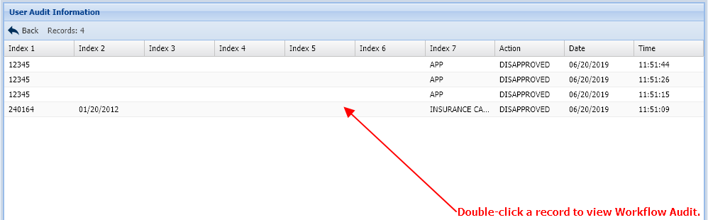User Audit Information