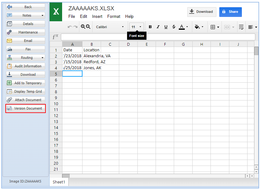 Version Document