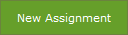 New Assignment button