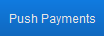 Push Payments Button Push Payments Button