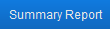 Summary Report button Summary Report button