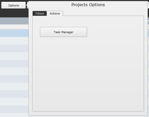 Projects Options Actions (tab) Projects Options Actions (tab)