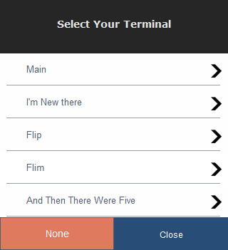Default Terminal Default Terminal
