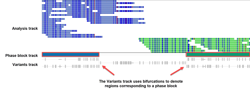 Variants tracks - User Guide to GenVision Pro - 18.0