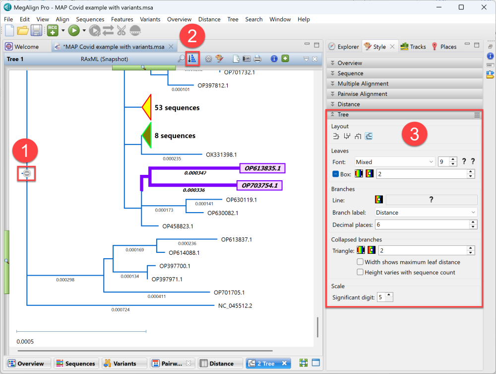 Customizing the Tree view for publication use - User Guide to MegAlign ...