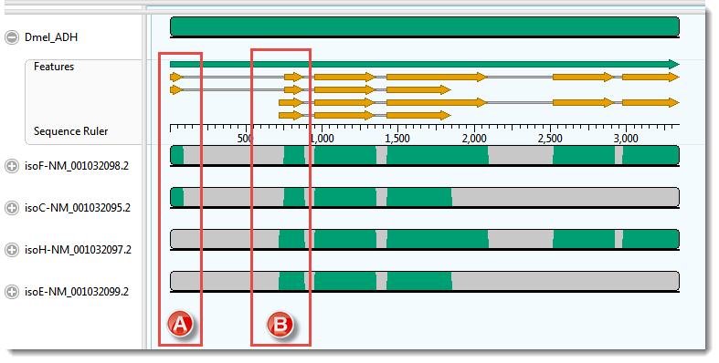 Mafft Alignment Software Part A: Compare results from three multiple alignment methods - User ...
