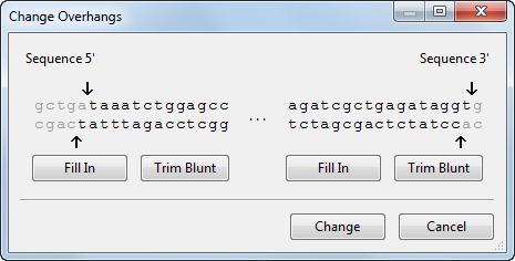 Create a custom vector for TA cloning - User Guide to SeqBuilder Pro - 17.5