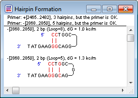 hairpin formation primers