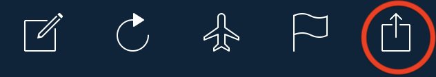 Send Share Icon