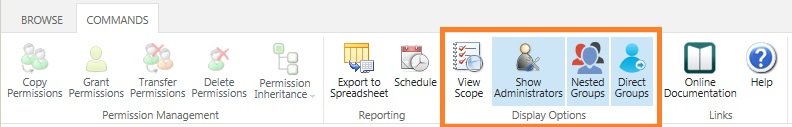 Display Options group on the DelvierPoint Ribbon tab Display Options group on the DelvierPoint Ribbon tab