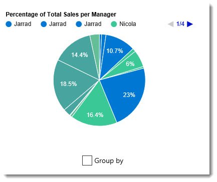 Ungrouped pie chart