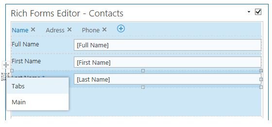 Rich Forms Tab - Lightning Forms - 1