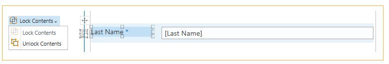 Rich Forms Tab - Lightning Forms - 1