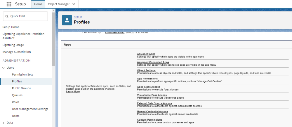 assign custom permission to profile salesforce