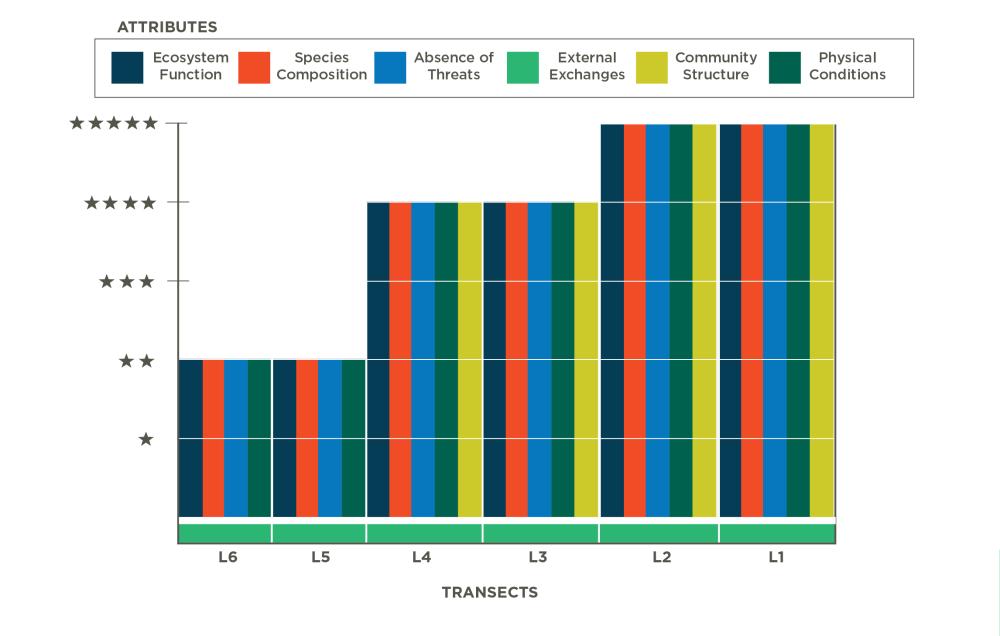 Figure 1-2 Minimum Level of Ecosystem Function Improvement by Transect. The External Exchanges attribute is shown along the bottom across all Transects, to indicate that all projects must target at least one improvement in this attribute.