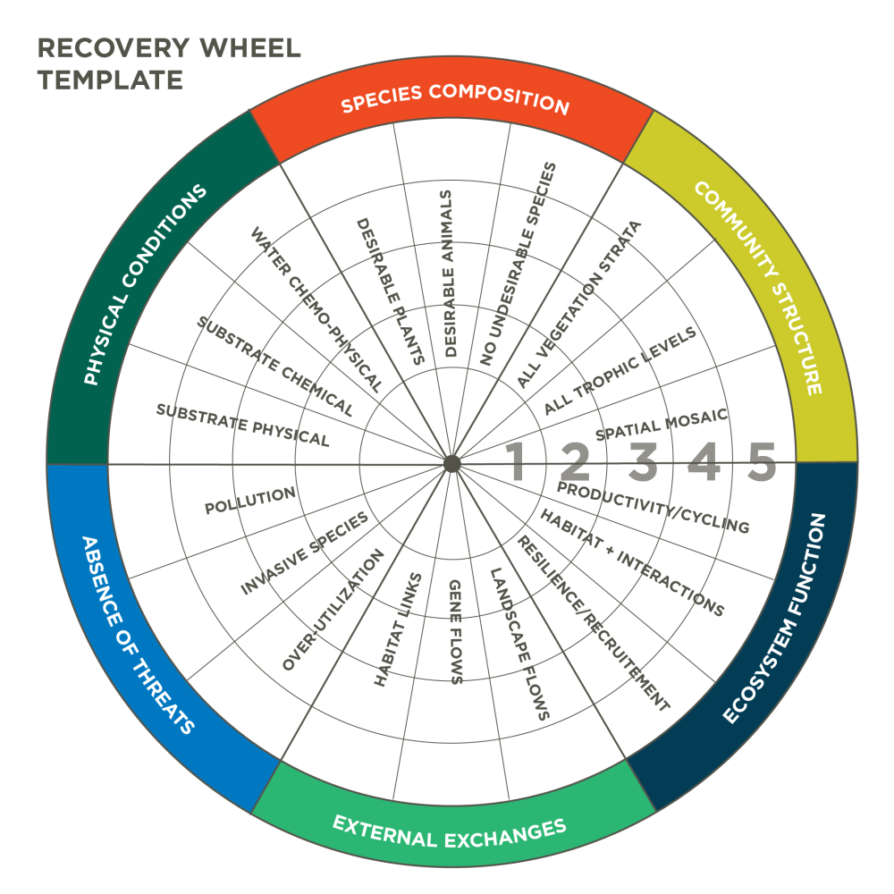 Figure 1-1 Recovery Wheel Template