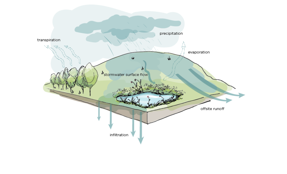 Figure 5-1 Historic Hydrology—How Water Might Move Through an Undeveloped Site