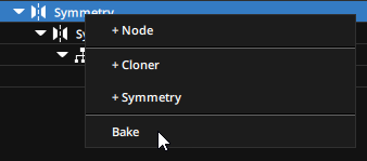 Selecting the bake option on a modifier Selecting the bake option on a modifier