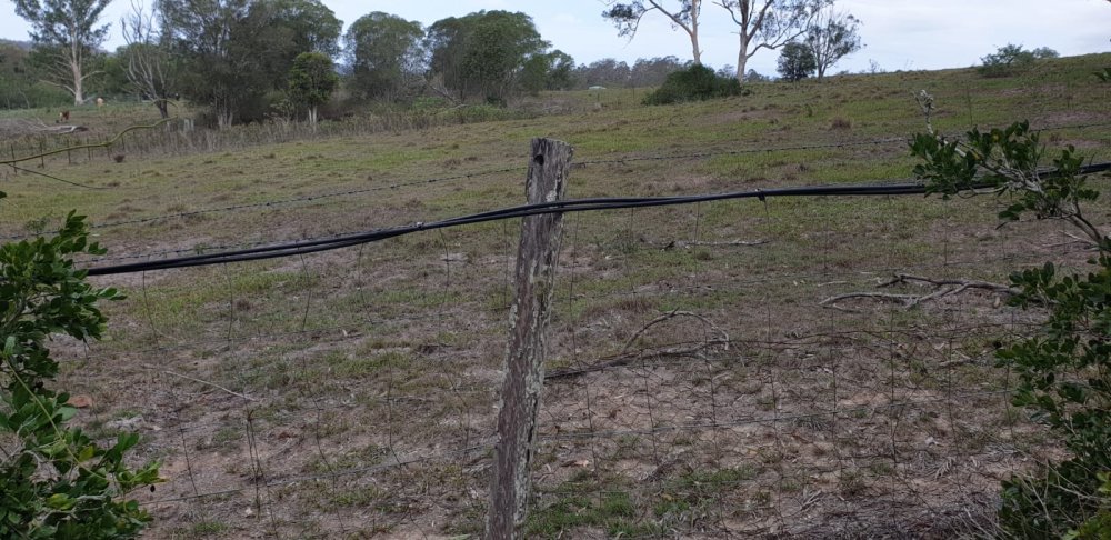 Fiber attached to fence