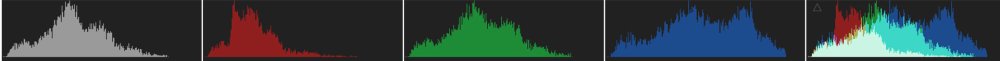 The grayscale, red, green, blue, and composite histograms