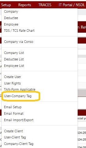 Setup -User-Company Tag
