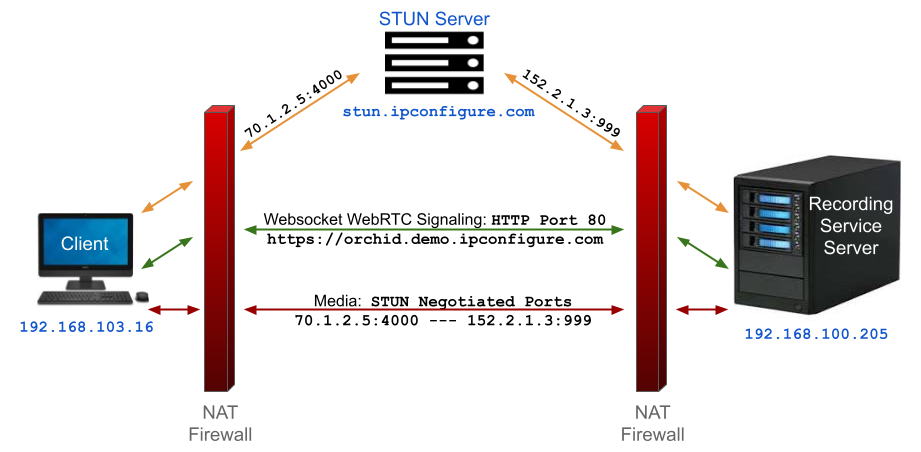 Report - Wordpress WebRTC IP Grabber & Logger 1.1 