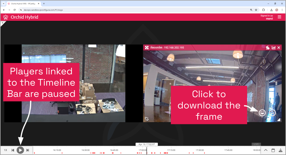 Using the Save Frame Feature - Orchid Hybrid/Fusion VMS User Guide - 24.3