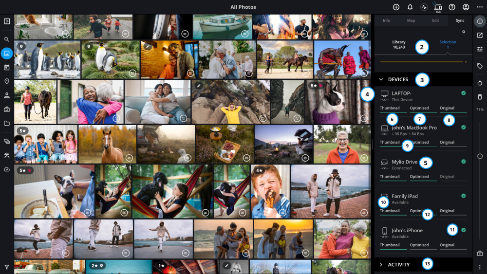 Understanding the Sync Panel - Mylio Photos - Version 24.3