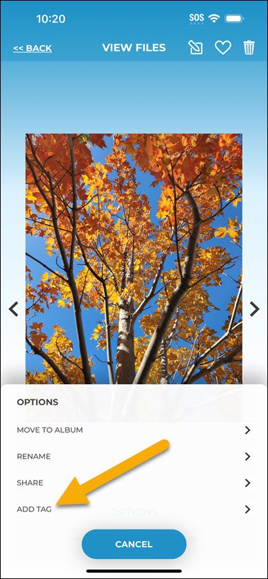 Add Tag to File iPhone Add Tag to File iPhone