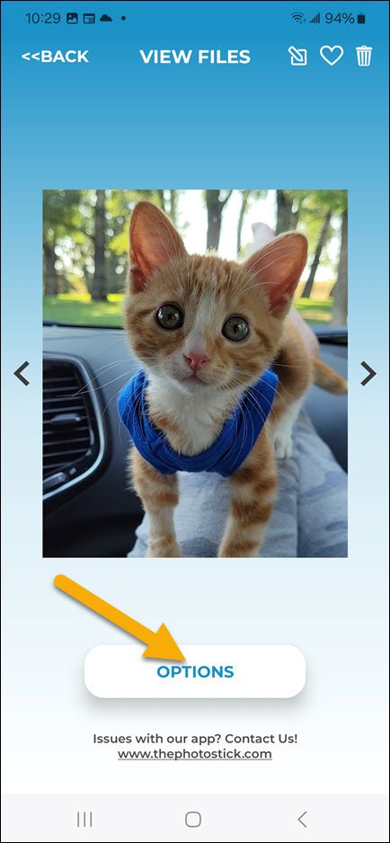Android Options Kitten Android Options Kitten