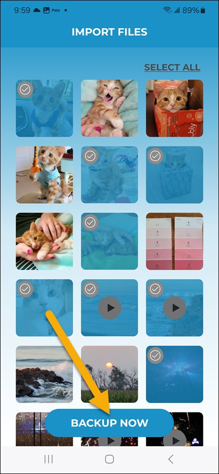 Backup Google Files Now Backup Google Files Now