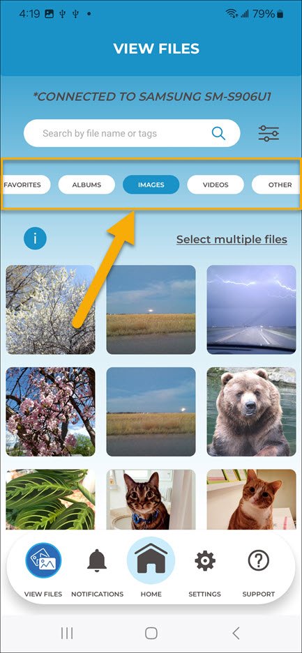 Change File Type Change File Type