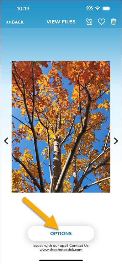 File Options iPhone File Options iPhone