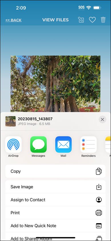 File Sharing Options