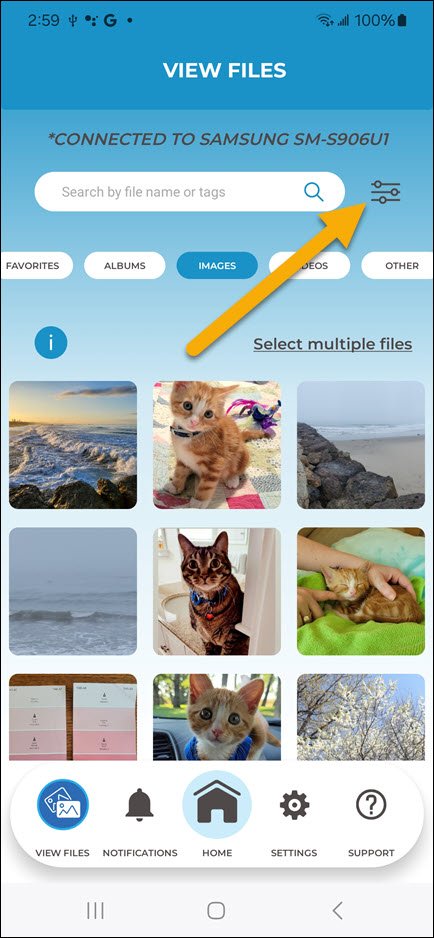 Filter Button to Clear Filter Button to Clear