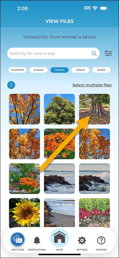 Full Screen File View iPhone