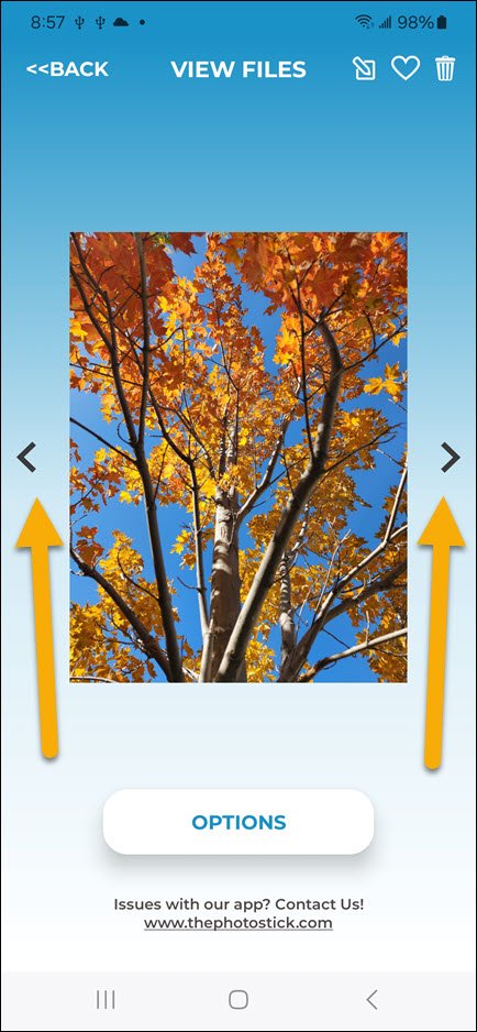 Image Scrolling Options Image Scrolling Options