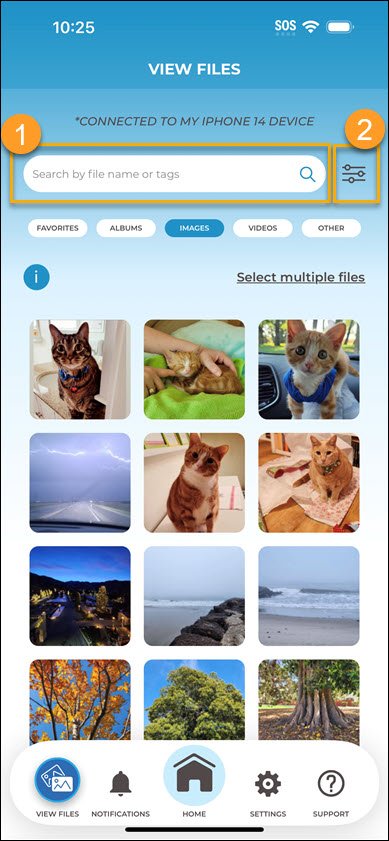Search for Files iPhone Search for Files iPhone