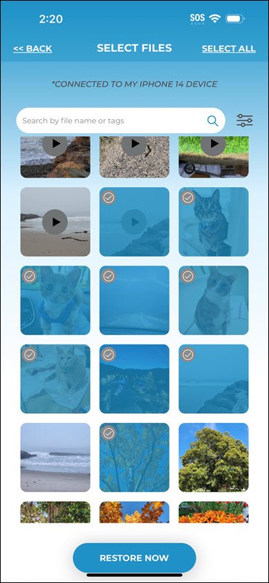Select Files and Restore now Select Files and Restore now