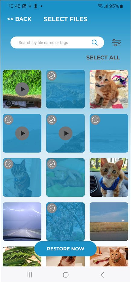 Select Files Restore Screen Select Files Restore Screen
