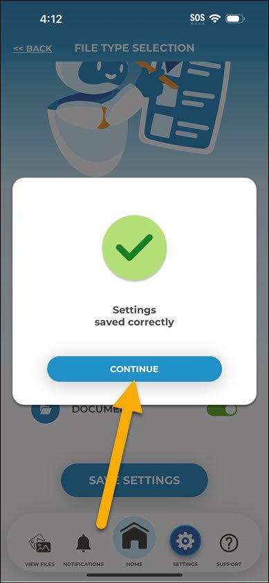 Settings Saved Continue
