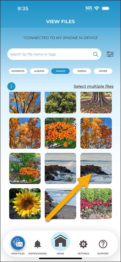 Tap and Hold Multiple Files Tap and Hold Multiple Files