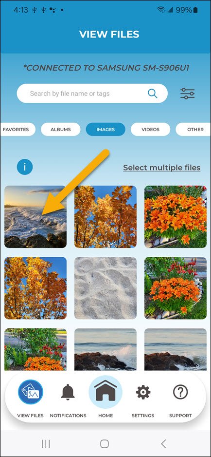 View Files Hold View Files Hold