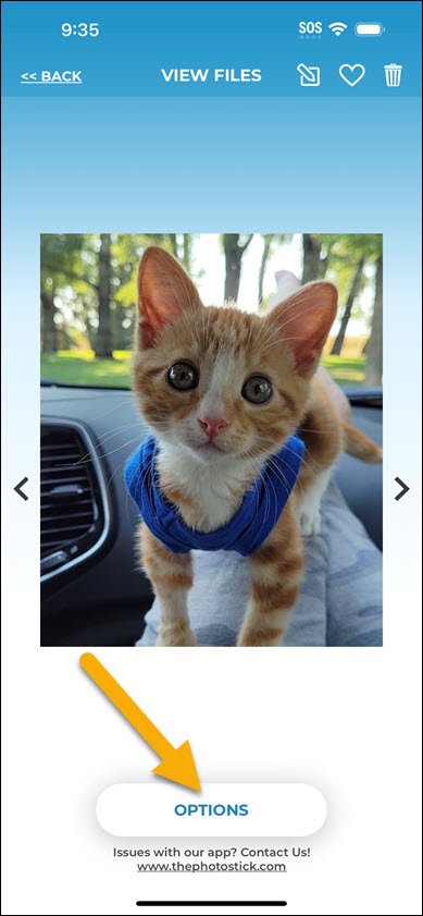 View Files Options Button View Files Options Button
